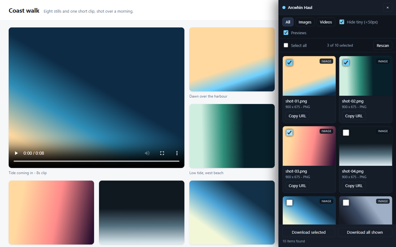 The Haul sidebar beside a gallery page, showing the images it found as tiles with three selected.